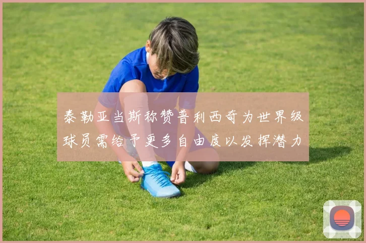 泰勒亚当斯称赞普利西奇为世界级球员需给予更多自由度以发挥潜力