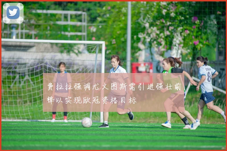 费拉拉强调尤文图斯需引进强壮前锋以实现欧冠资格目标