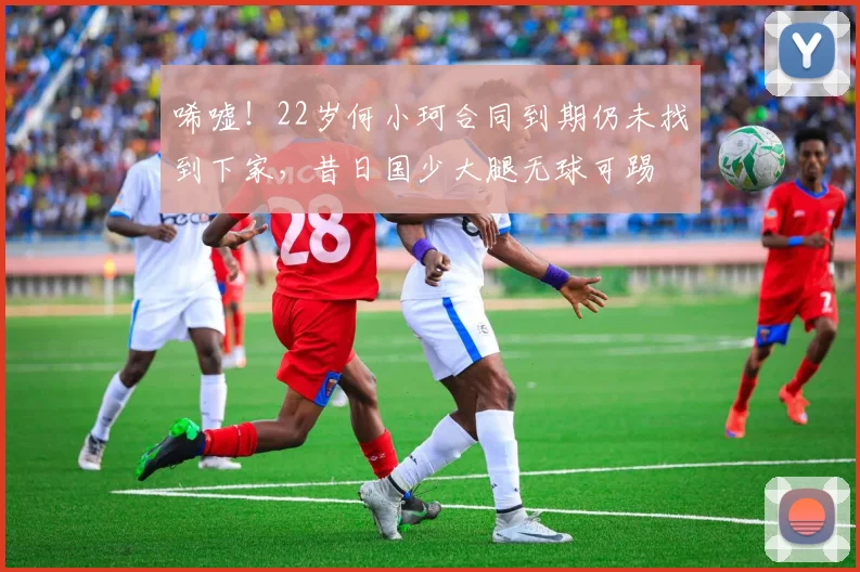 唏嘘！22岁何小珂合同到期仍未找到下家，昔日国少大腿无球可踢